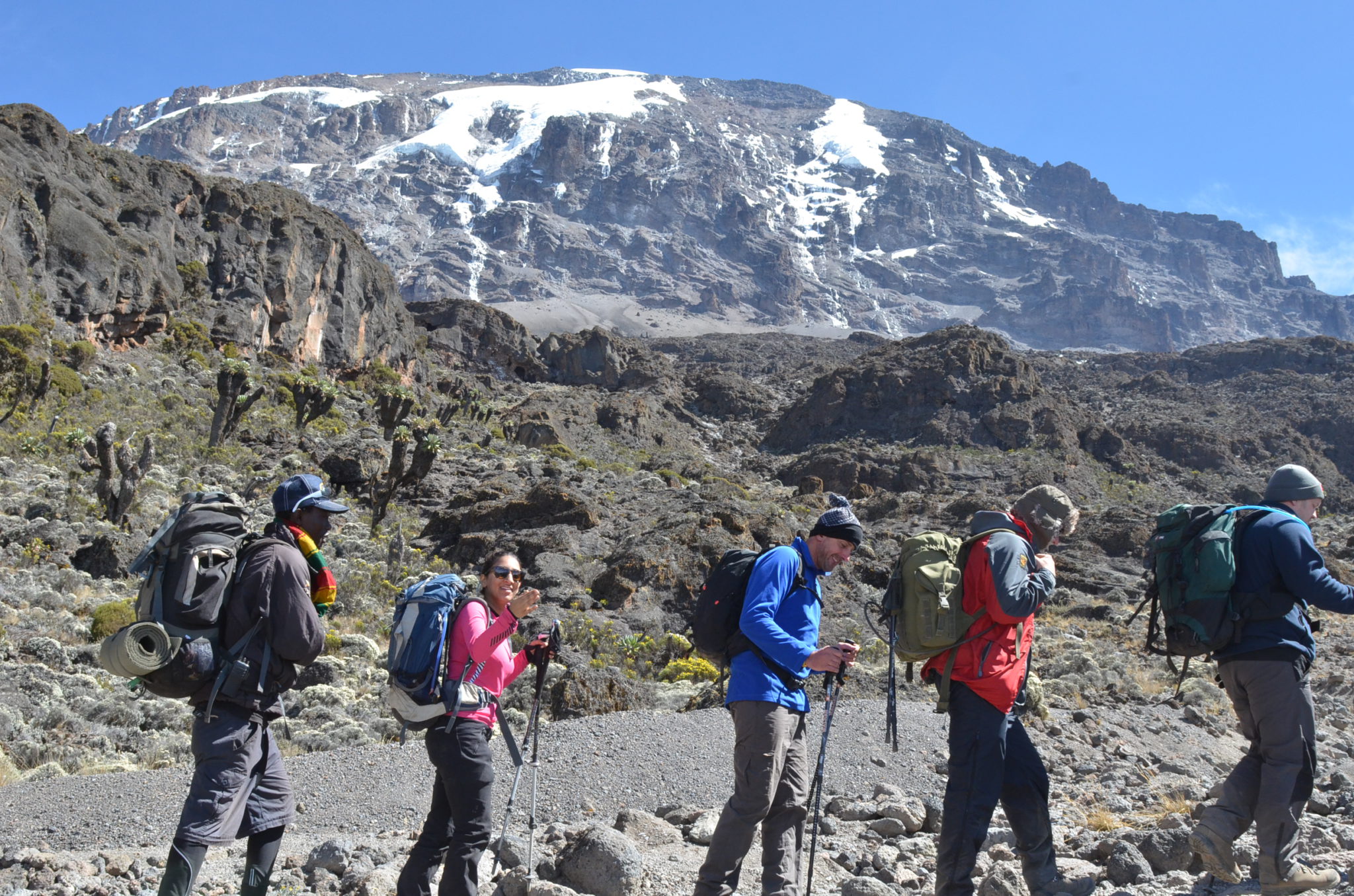 Lemosho Western Breach with Crater Camp Route