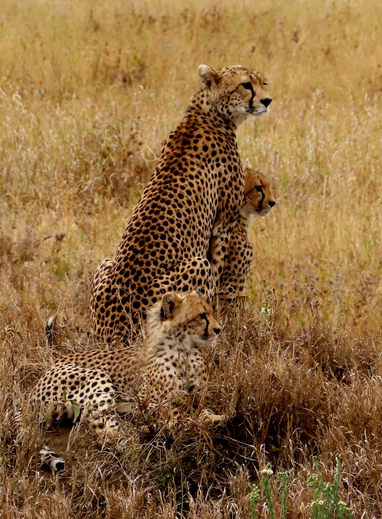 Day 1 activity image