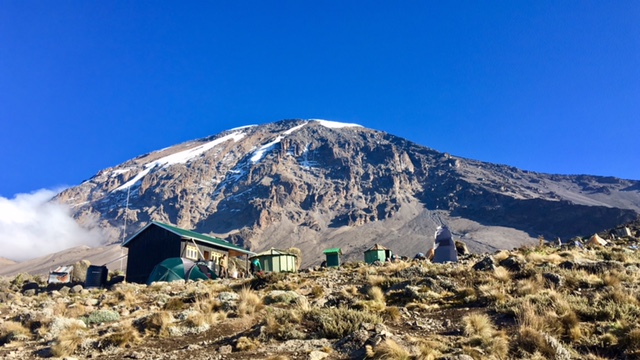 Day 6 activity image