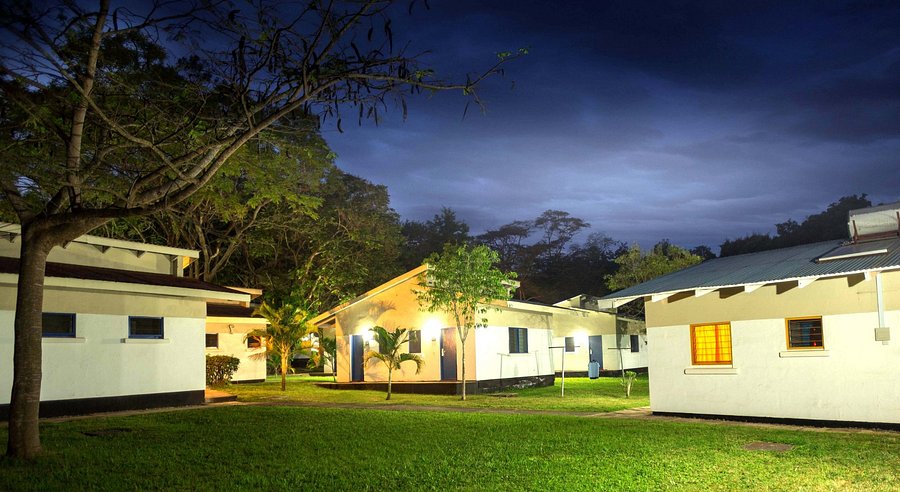 Day 5 activity image