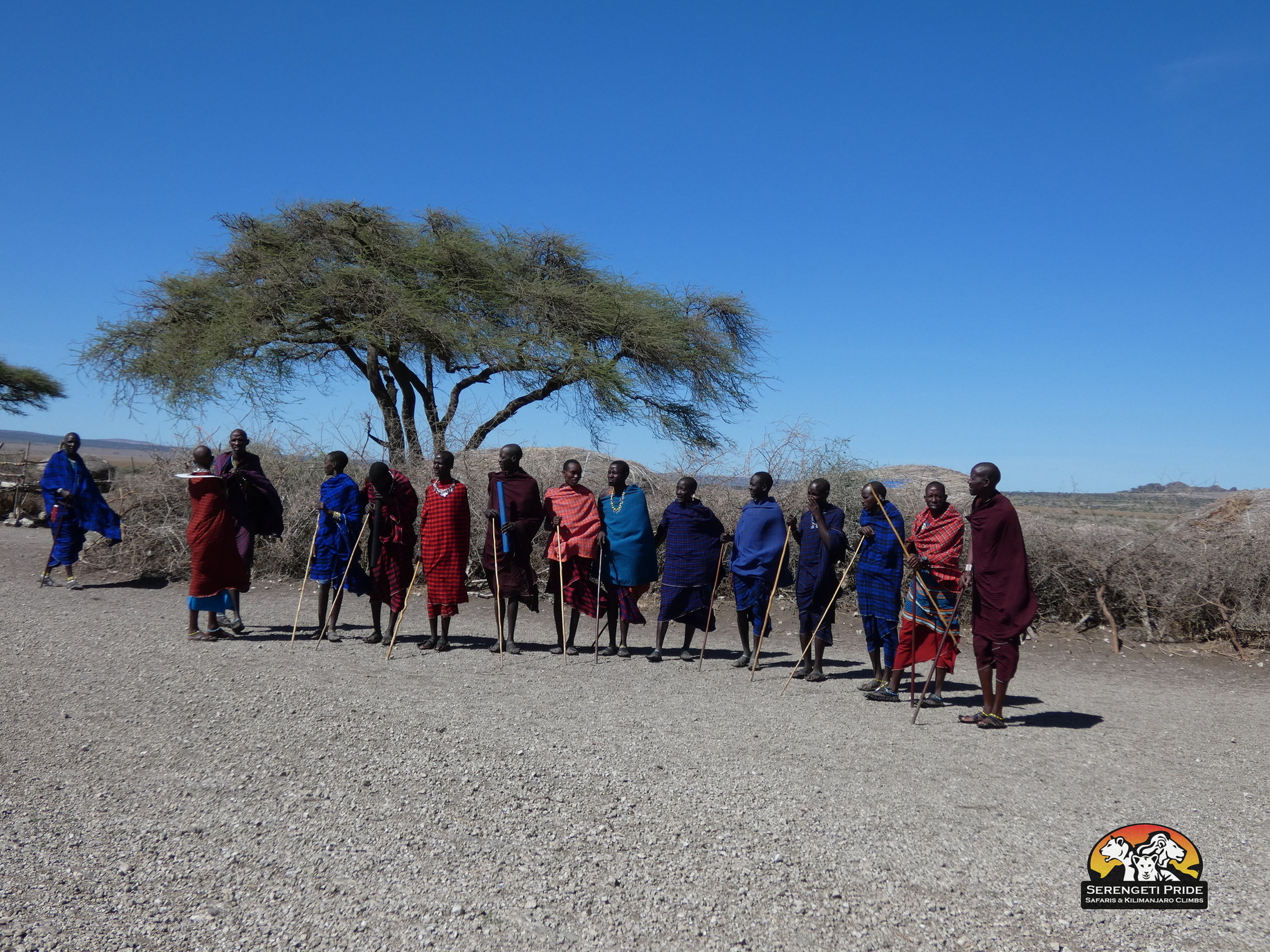 Day 4 activity image