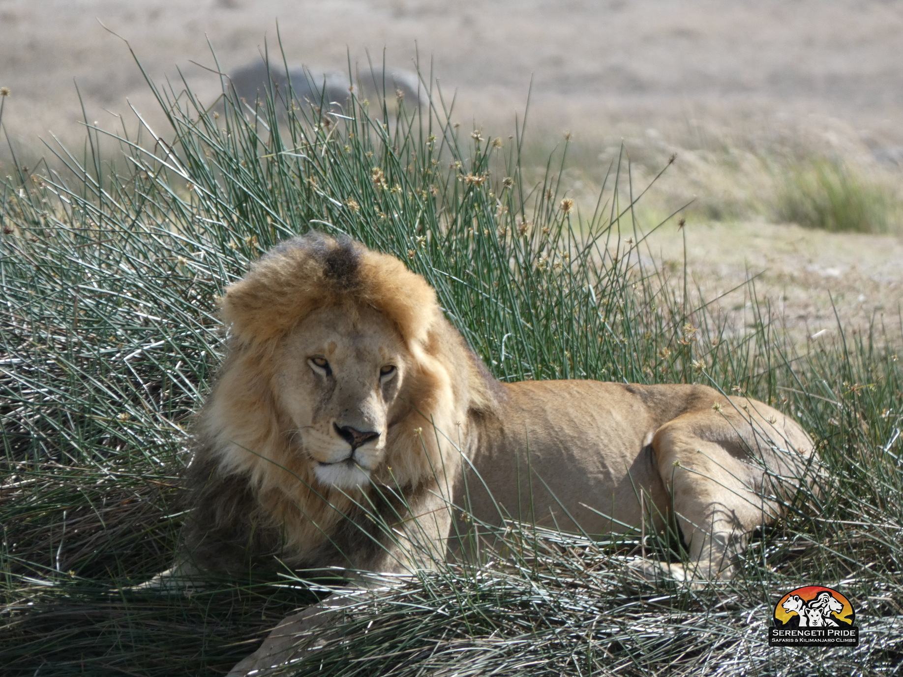 Day 6 activity image