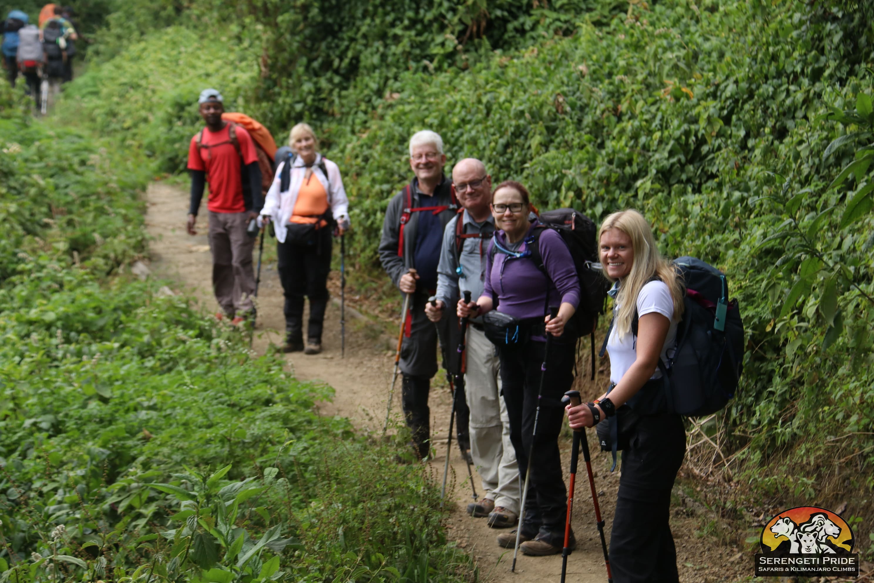 Day 1 activity image