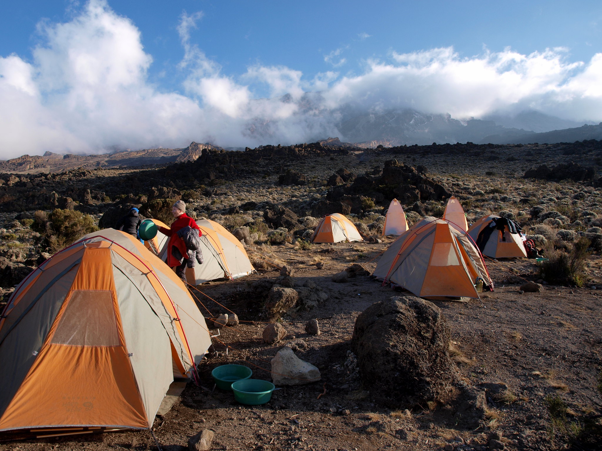 Day 4 activity image