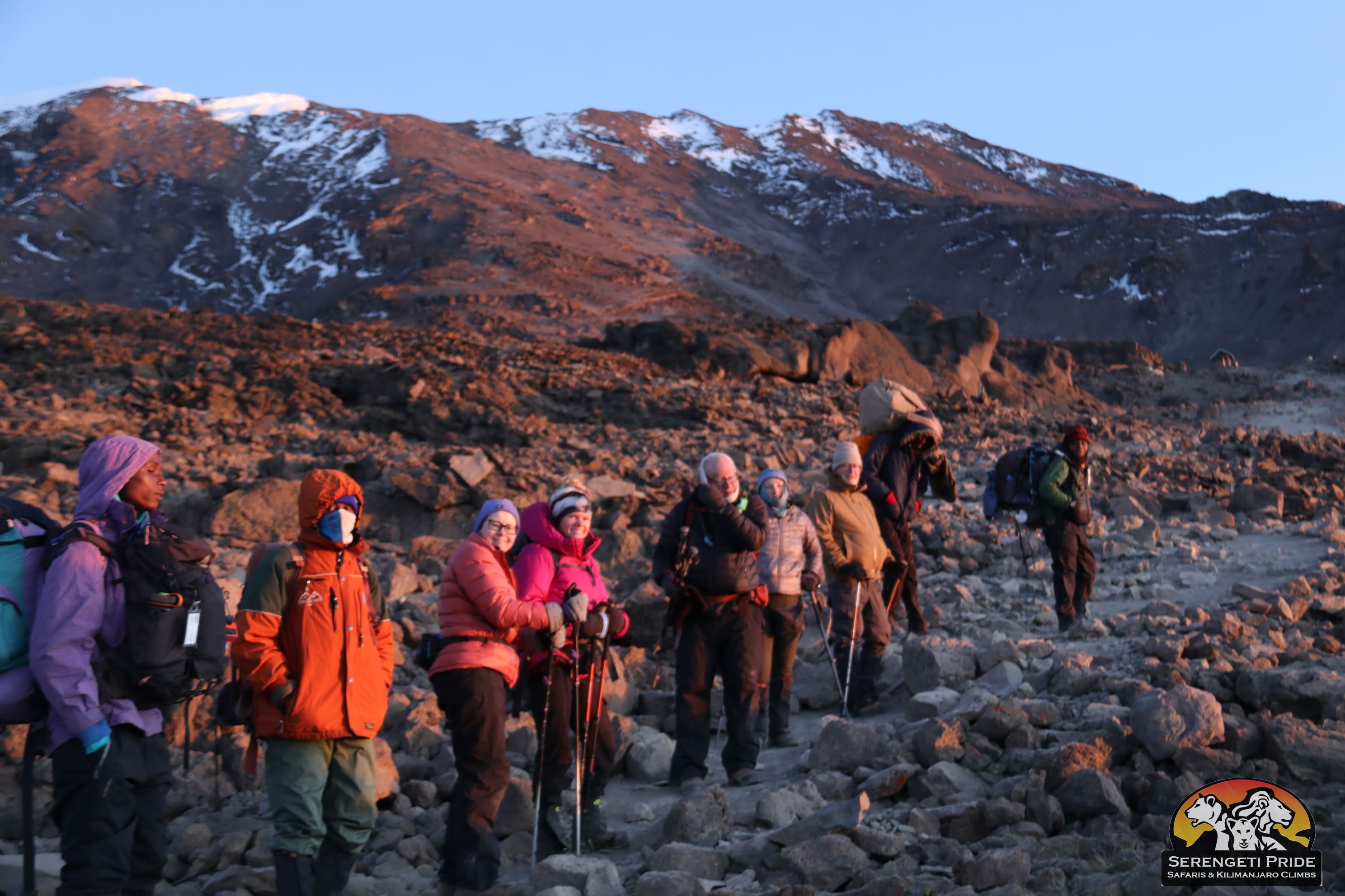 Day 7 activity image