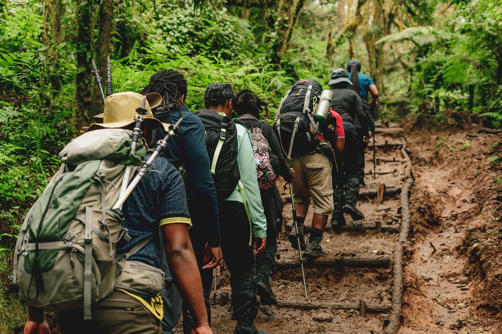 Day 1 activity image