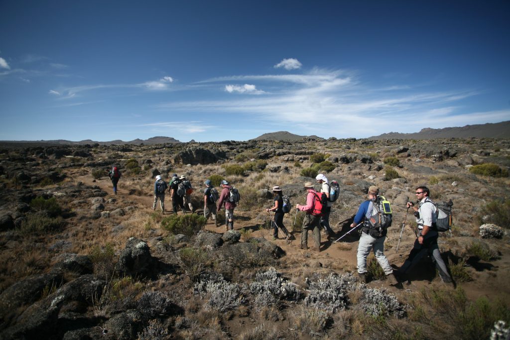 Day 2 activity image