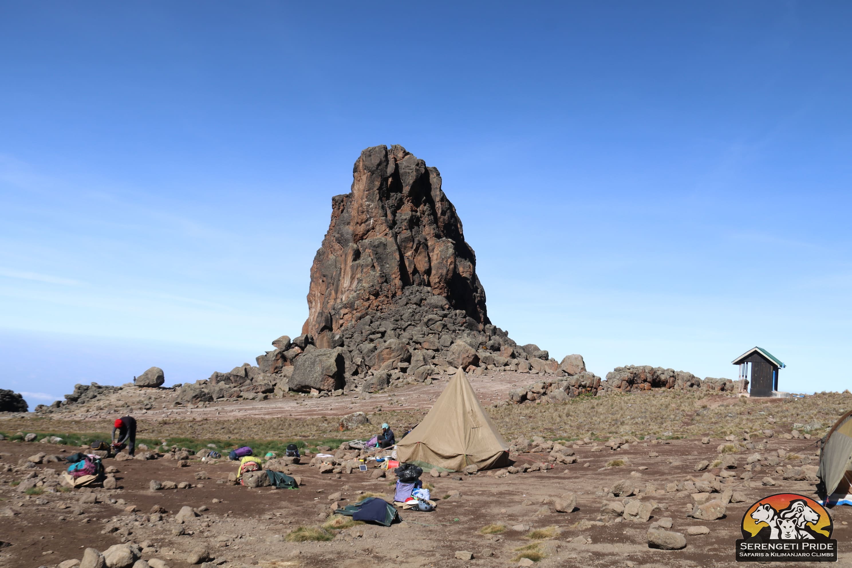 Day 4 activity image