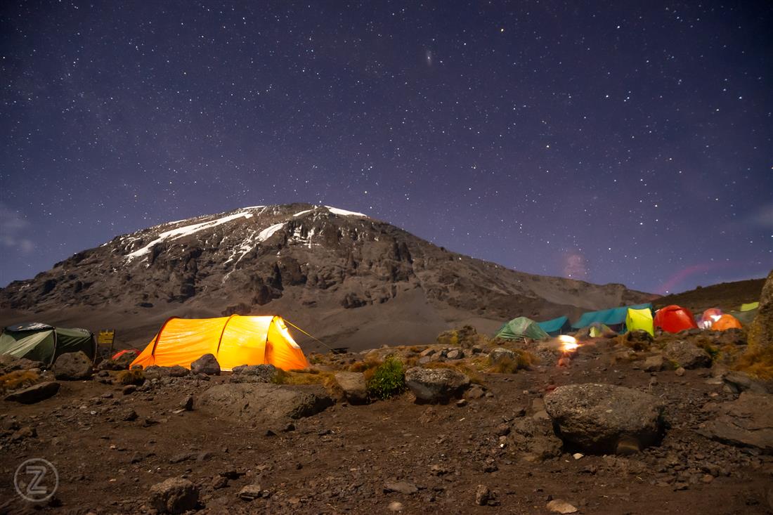 Day 7 activity image