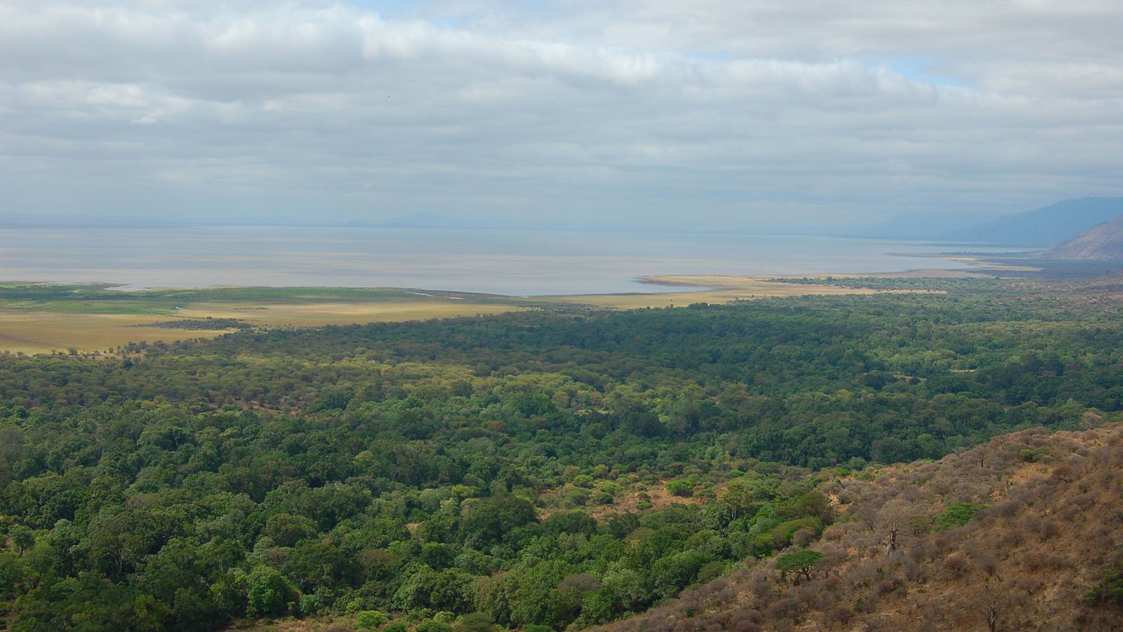 Day 3 activity image