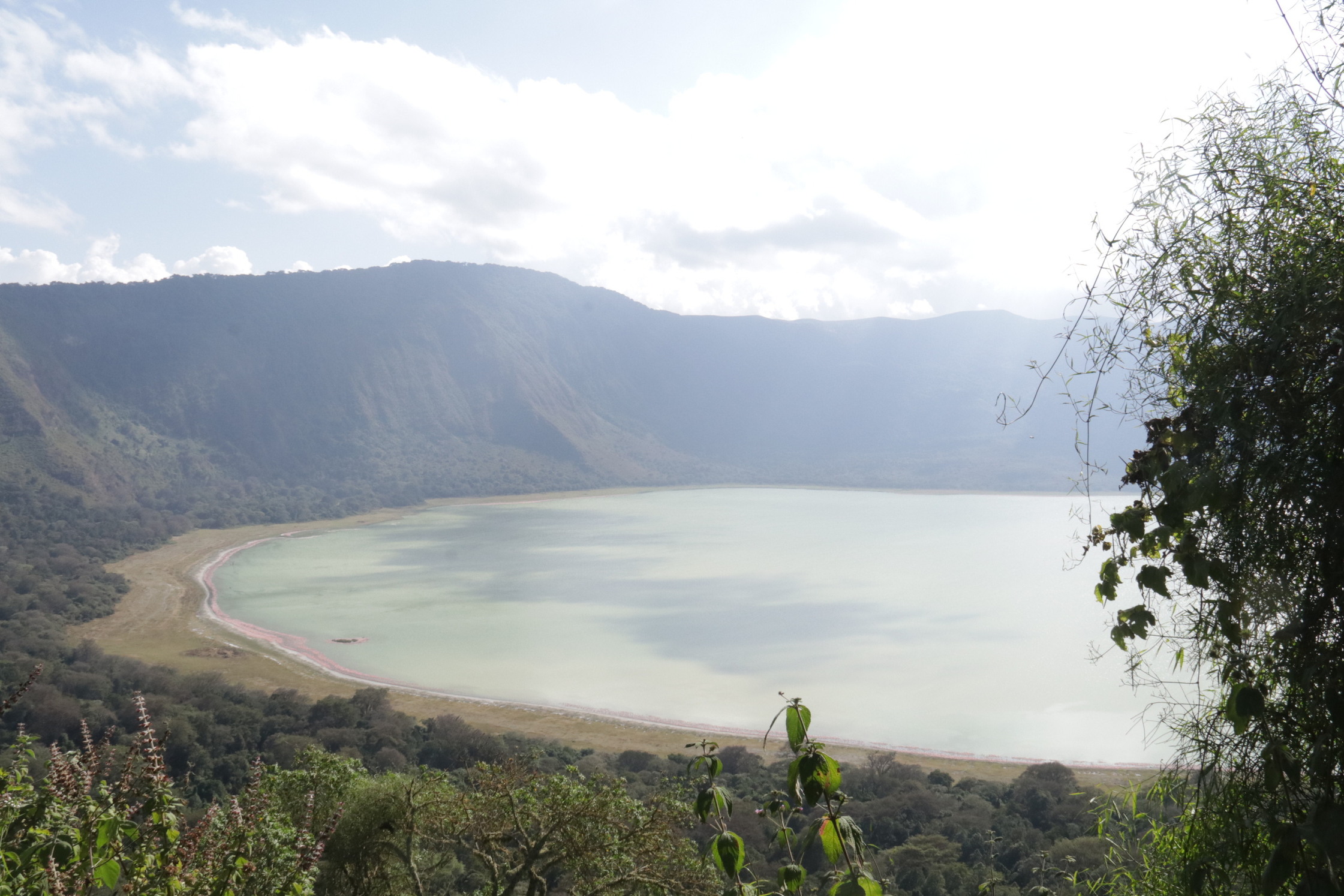 Day 4 activity image