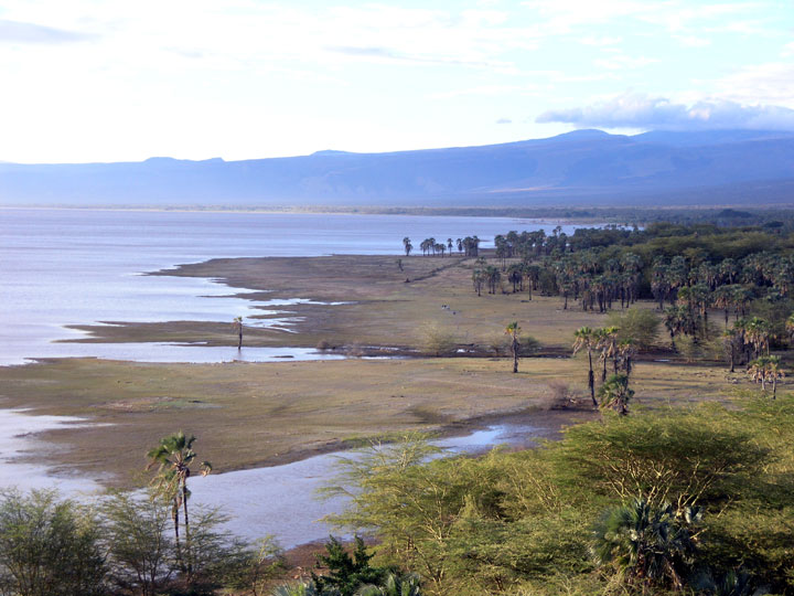 Day 5 activity image