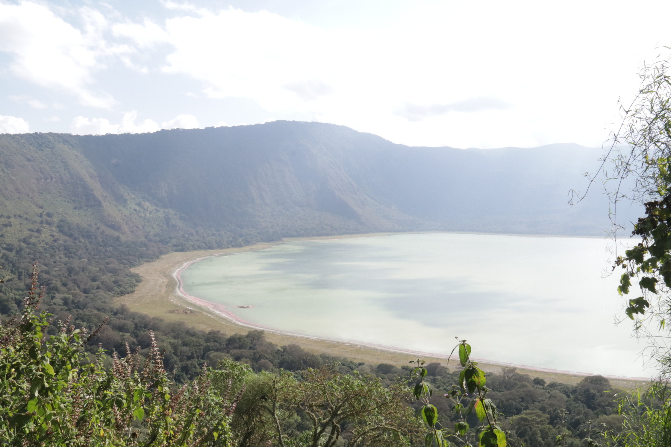 Day 2 activity image